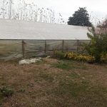 فروش ویلا باغ قدیمی 1500 متری سنددار داخل بافت شهری
